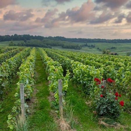 Maison De Champagne F.Barbier ! Avize Dış mekan fotoğraf